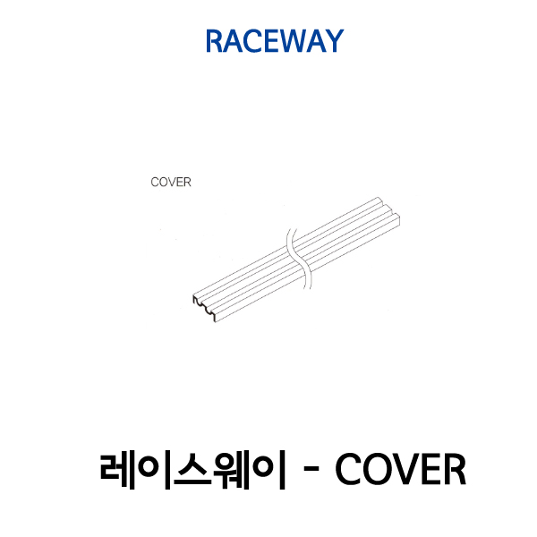레이스웨이 - COVER